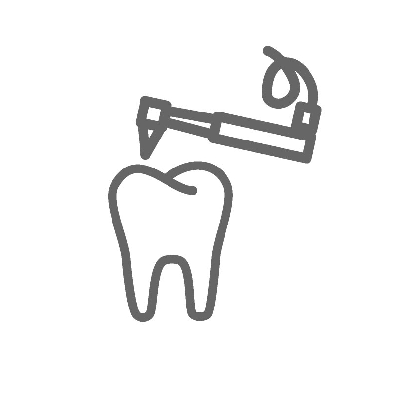 Home 2 prajna fillings